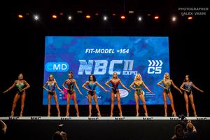 FIT-MODEL +164 раунд 1